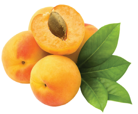 Apricot Kiffles
